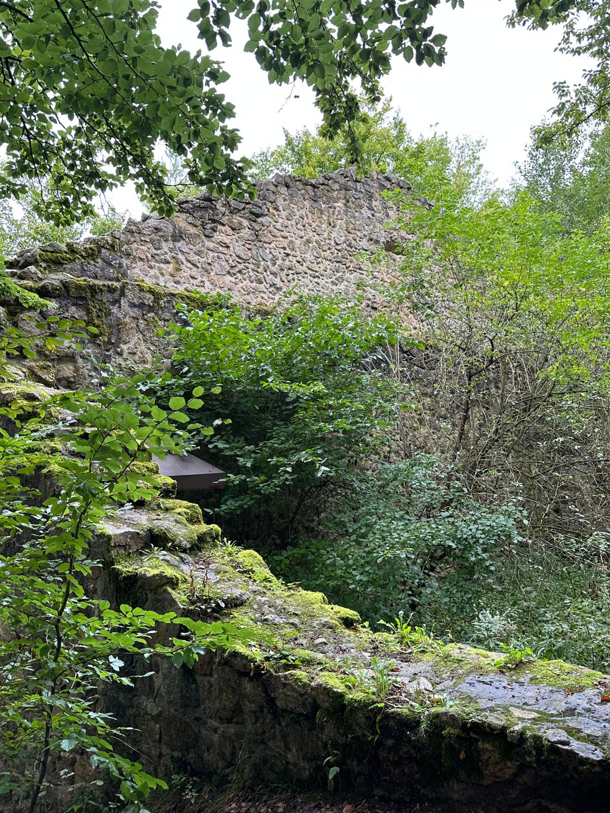 Vergrößerbares Bild